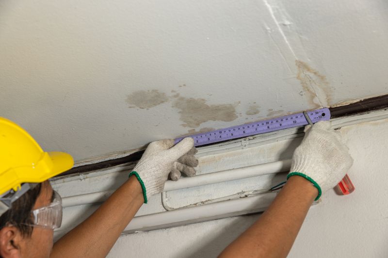 Attic Water Damage Repair in Charleston, SC