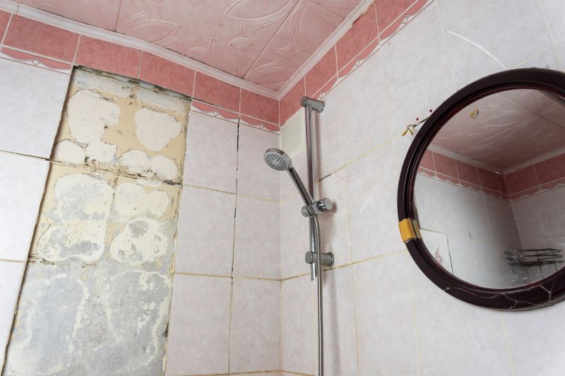 Bathroom Construction in Denver, CO