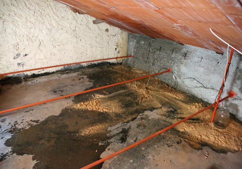 Bathroom Water Damage Repair in Littleton, CO